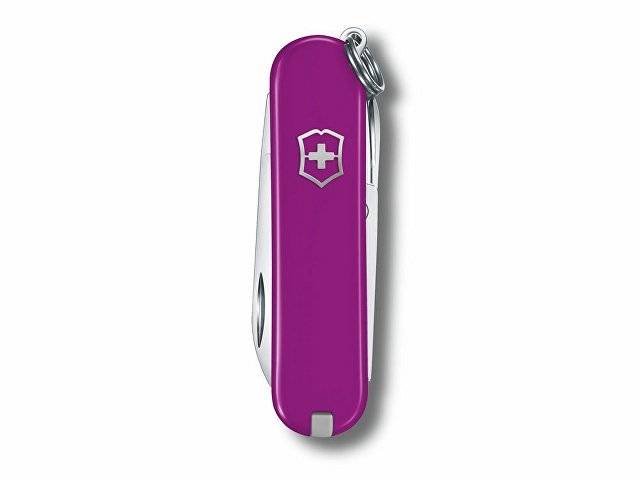 Нож-брелок VICTORINOX Classic SD Colors "Tasty Grape", 58 мм, 7 функций, фиолетовый