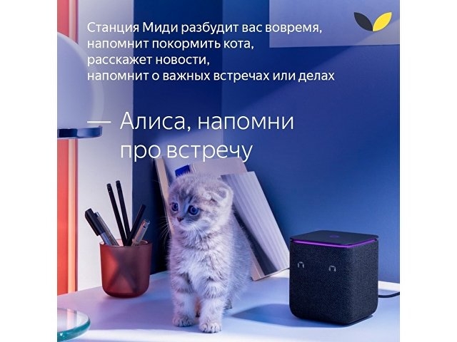 Умная колонка ЯНДЕКС Станция Миди с Алисой, с Zigbee, 24 Вт, цвет: черный (YNDX-00054BLK)