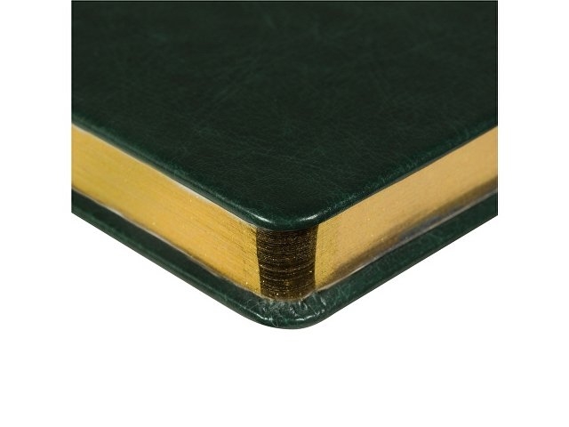 Ежедневник недатированный А5 "Megapolis Nebraska", зеленый с золотым обрезом