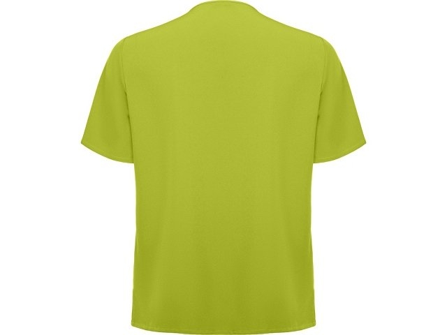 Рубашка мужская "Ferox", фисташковый