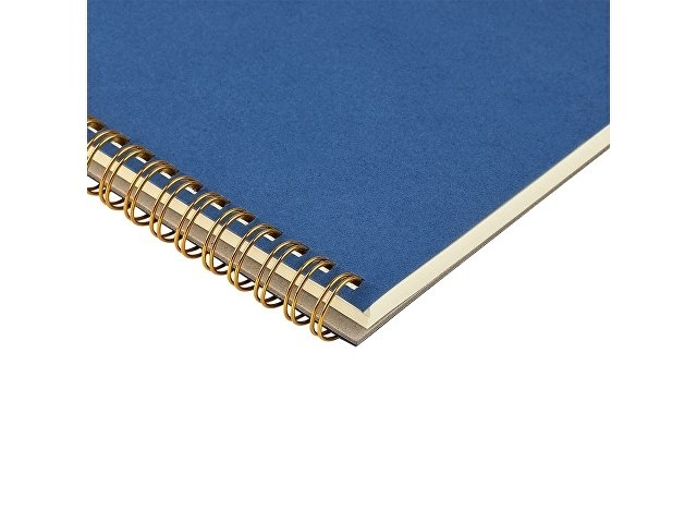 Бизнес тетрадь на гребне А5 "Pragmatic", 60 листов в клетку, синий
