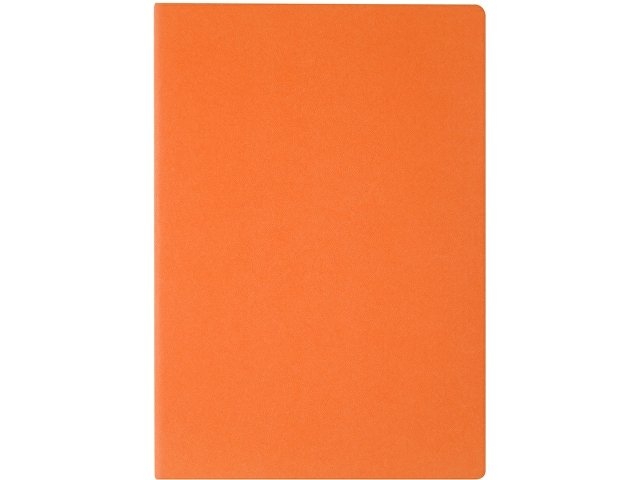 Бизнес тетрадь А5 "Pragmatic", 40 листов в клетку, оранжевый